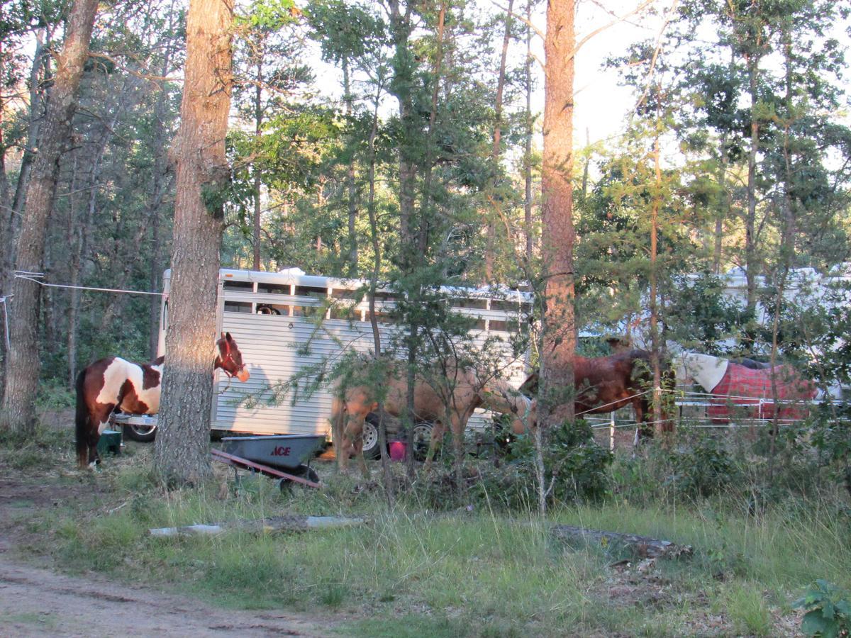 Best Bear Lodge & Campground Irons Exteriör bild