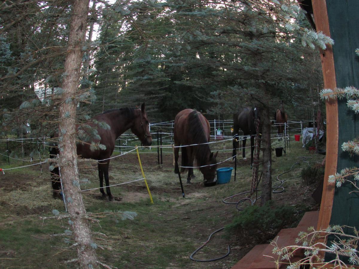Best Bear Lodge & Campground Irons Exteriör bild